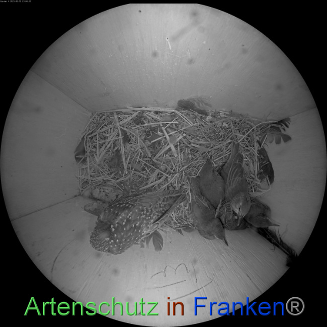 © Artenschutz in Franken® Bild zum Eintrag (1048333-160)