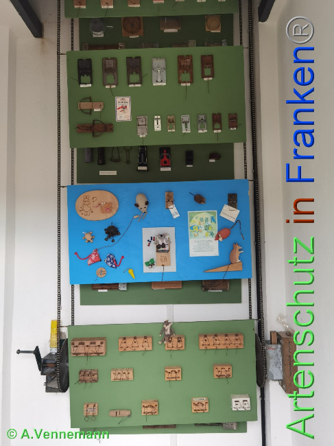 © Artenschutz in Franken® / Vennemann Bild zum Eintrag (1048389-160)