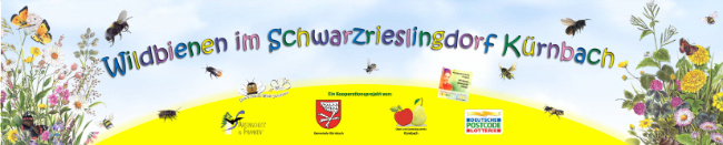 © Artenschutz in Franken® Bild zum Eintrag (1048425-160)