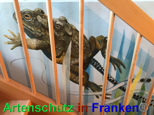 © Artenschutz in Franken® Bild zum Eintrag (1048754-160)