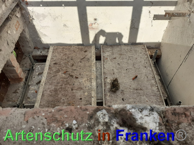 © Artenschutz in Franken® Bild zum Eintrag (1048771-160)