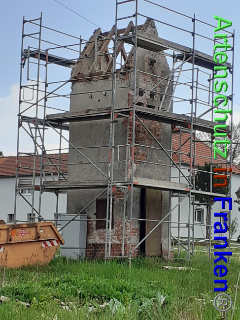 © Artenschutz in Franken® Bild zum Eintrag (1048772-160)