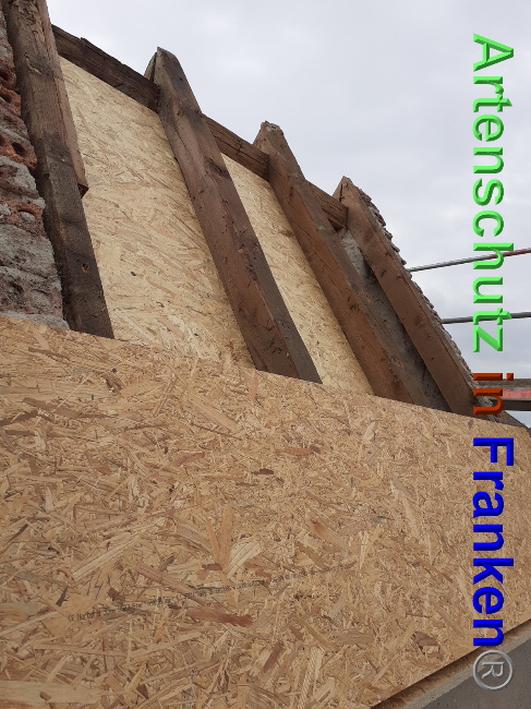 © Artenschutz in Franken® Bild zum Eintrag (1048777-160)