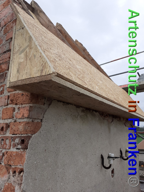 © Artenschutz in Franken® Bild zum Eintrag (1048778-160)