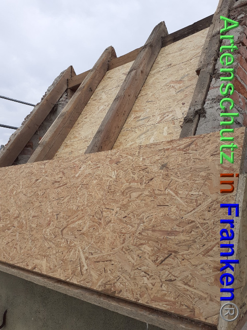 © Artenschutz in Franken® Bild zum Eintrag (1048779-160)