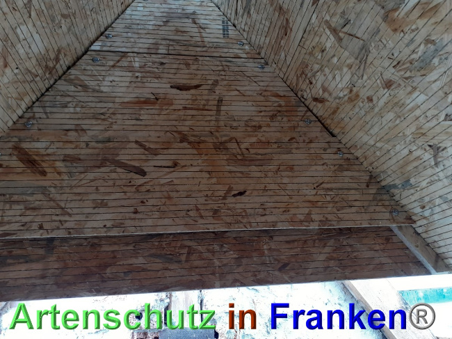 © Artenschutz in Franken® Bild zum Eintrag (1048783-160)