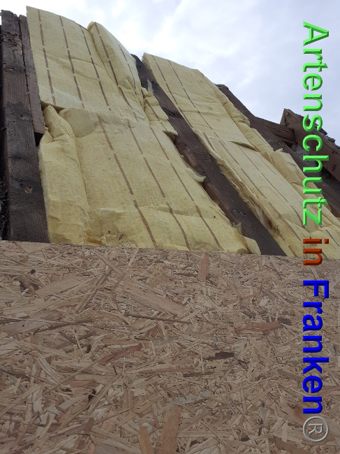 © Artenschutz in Franken® Bild zum Eintrag (1048784-160)