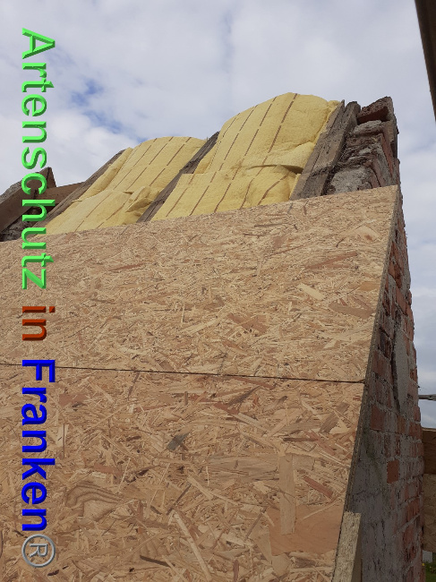 © Artenschutz in Franken® Bild zum Eintrag (1048785-160)