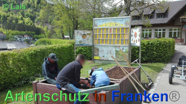 © Artenschutz in Franken® / Lais Bild zum Eintrag (1048833-160)