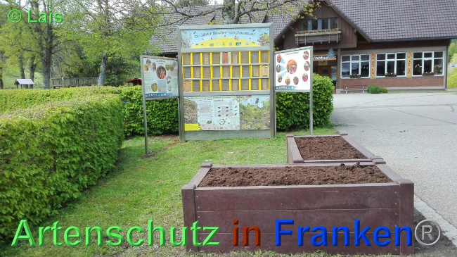 © Artenschutz in Franken® / Lais Bild zum Eintrag (1048834-160)