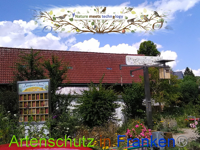 © Artenschutz in Franken® Bild zum Eintrag (1048848-160)