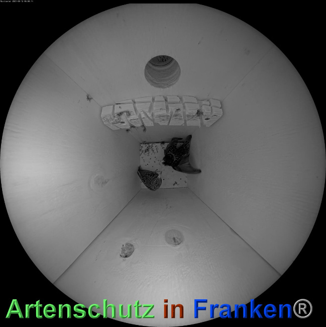 © Artenschutz in Franken® Bild zum Eintrag (1048858-160)