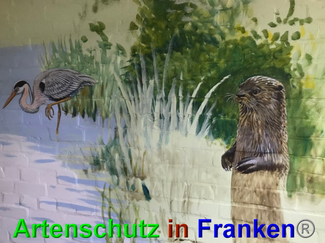 © Artenschutz in Franken® Bild zum Eintrag (1048913-160)