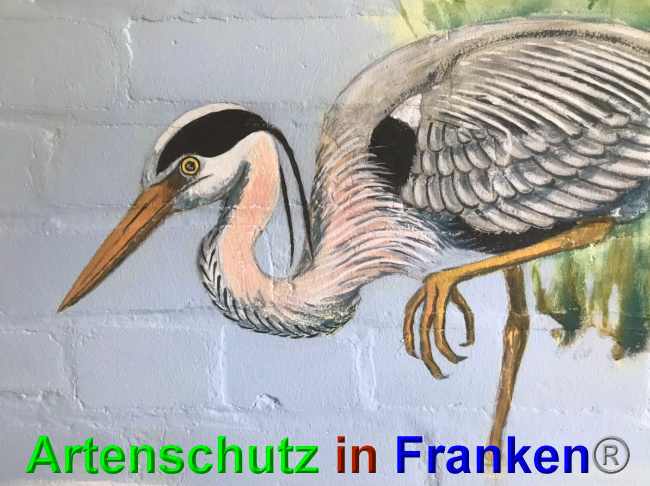 © Artenschutz in Franken® Bild zum Eintrag (1048915-160)