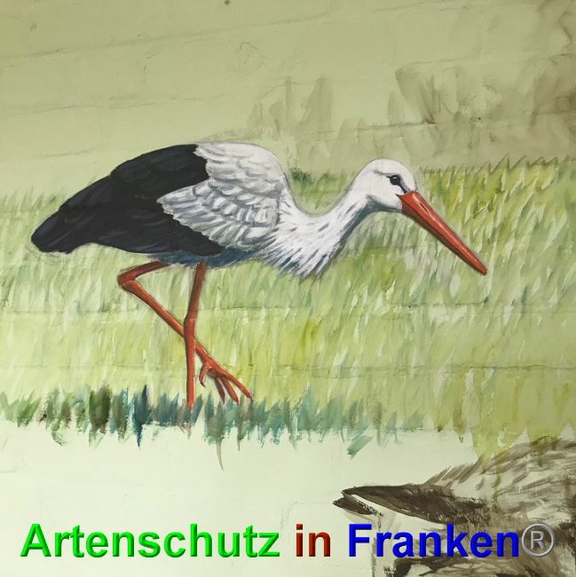 © Artenschutz in Franken® Bild zum Eintrag (1048916-160)