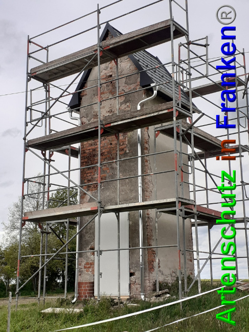 © Artenschutz in Franken® Bild zum Eintrag (1048925-160)