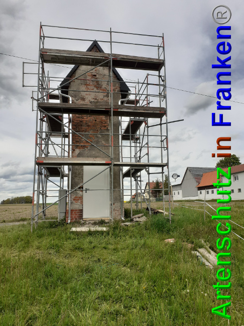 © Artenschutz in Franken® Bild zum Eintrag (1048931-160)
