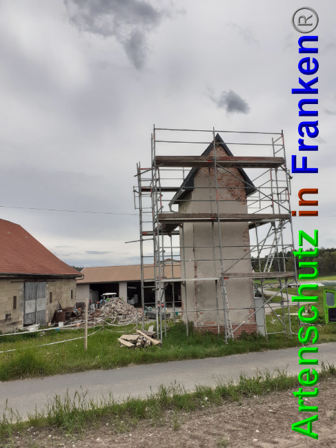 © Artenschutz in Franken® Bild zum Eintrag (1048932-160)