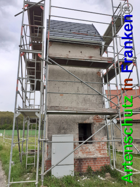 © Artenschutz in Franken® Bild zum Eintrag (1048933-160)