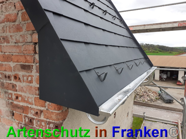 © Artenschutz in Franken® Bild zum Eintrag (1048936-160)