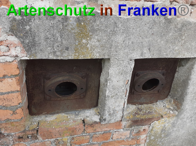 © Artenschutz in Franken® Bild zum Eintrag (1048939-160)