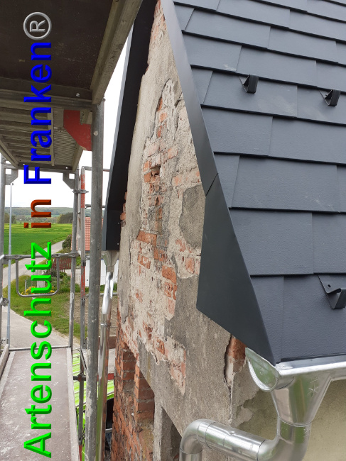 © Artenschutz in Franken® Bild zum Eintrag (1048940-160)