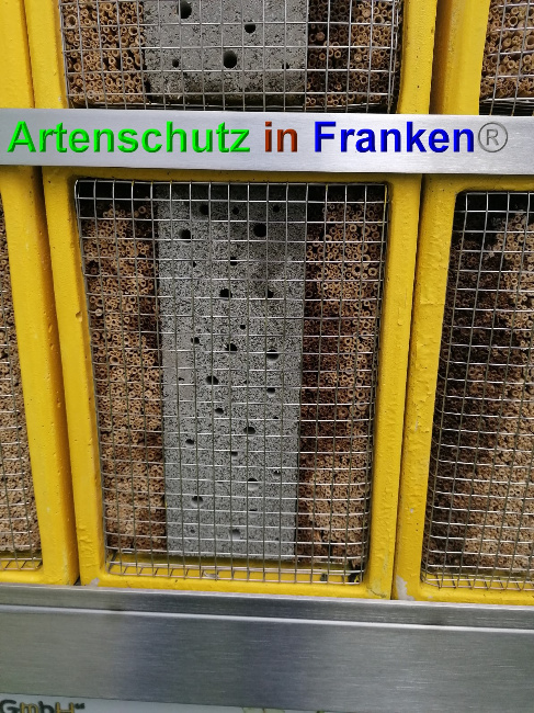 © Artenschutz in Franken® Bild zum Eintrag (1049021-160)
