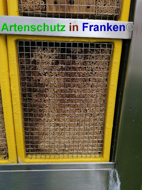 © Artenschutz in Franken® Bild zum Eintrag (1049022-160)