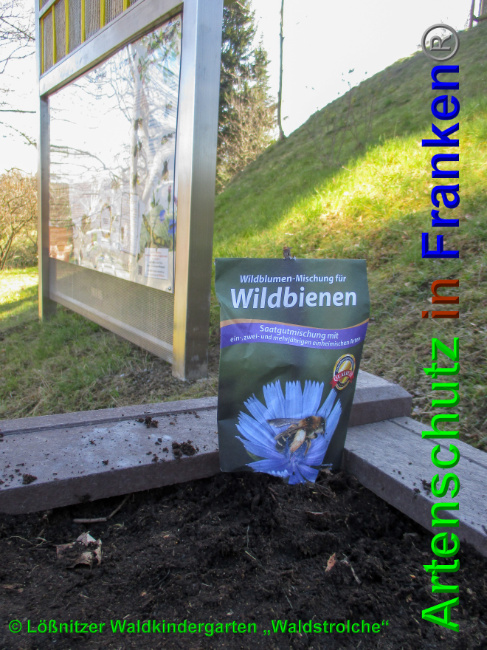 © Artenschutz in Franken® Bild zum Eintrag (1049148-160)