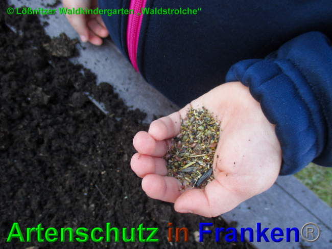 © Artenschutz in Franken® Bild zum Eintrag (1049150-160)