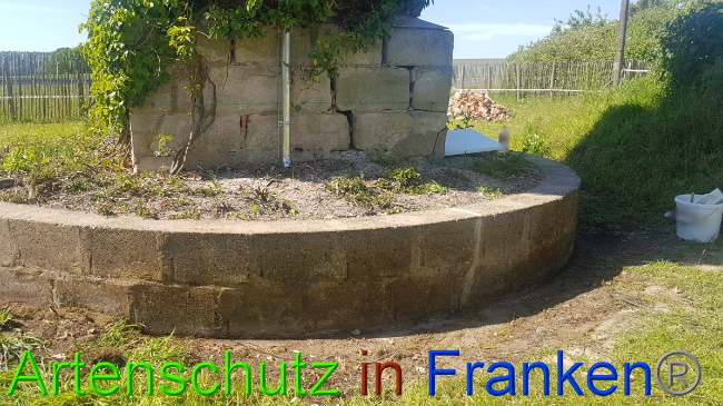 © Artenschutz in Franken® Bild zum Eintrag (1049511-160)