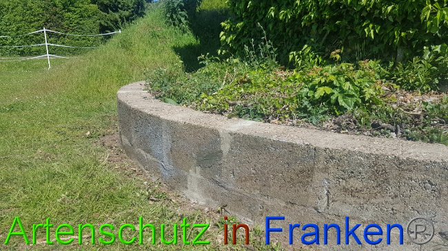 © Artenschutz in Franken® Bild zum Eintrag (1049515-160)