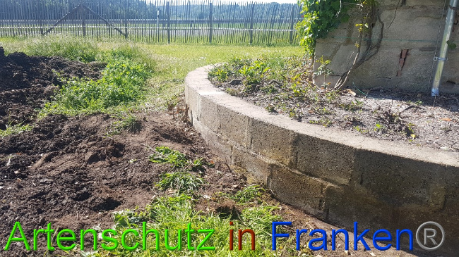 © Artenschutz in Franken® Bild zum Eintrag (1049517-160)