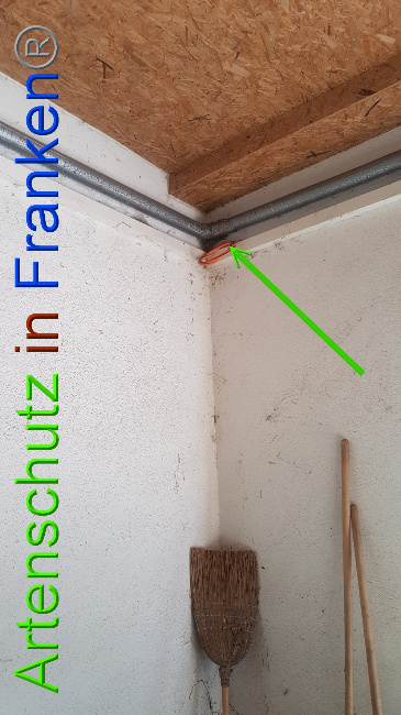 Bild zum Eintrag (1049526-160)