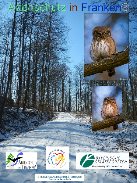 Copyright AiF Johannes Rother Bild zum Eintrag (1049644-160)