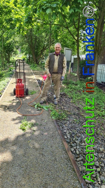 © Artenschutz in Franken® / Sonfeld Bild zum Eintrag (1049703-160)
