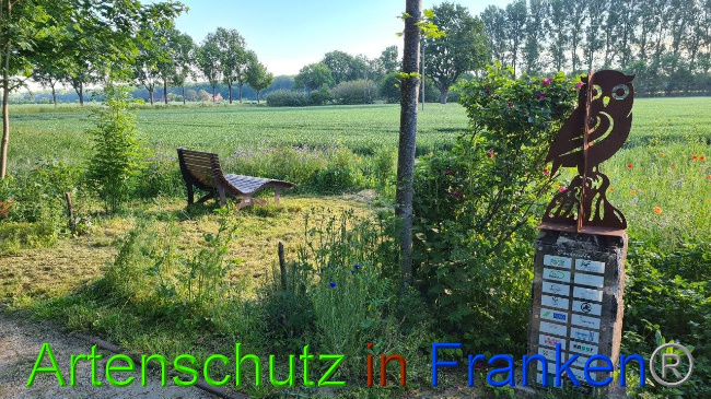 © Artenschutz in Franken® / Sonfeld Bild zum Eintrag (1049705-160)