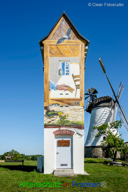 © Artenschutz in Franken® / CLEAN Fotostudio GmbH Bild zum Eintrag (1049819-160)