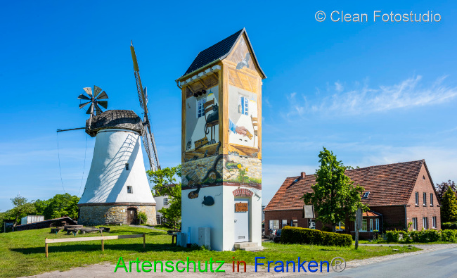 © Artenschutz in Franken® / CLEAN Fotostudio GmbH Bild zum Eintrag (1049821-160)