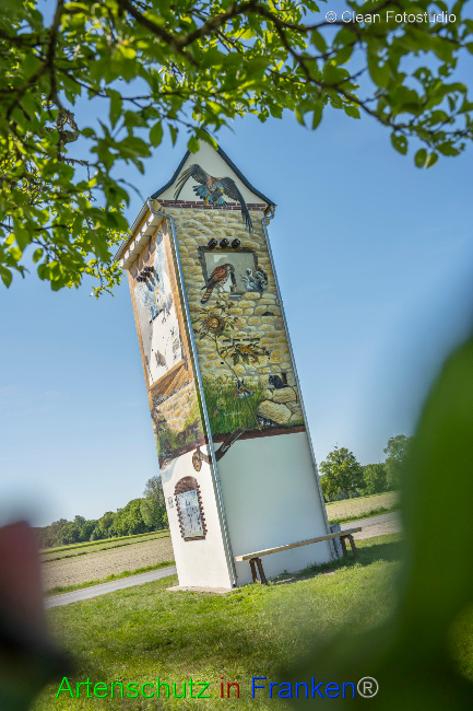 © Artenschutz in Franken® / CLEAN Fotostudio GmbH Bild zum Eintrag (1049830-160)