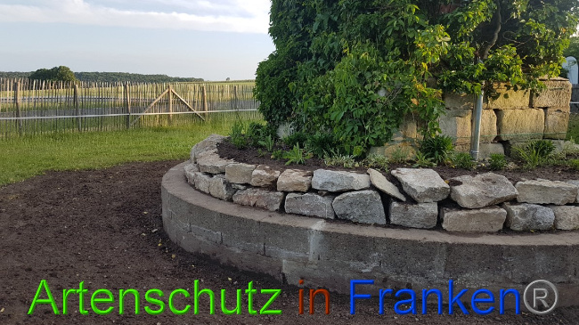 © Artenschutz in Franken® / Schima Bild zum Eintrag (1050248-160)