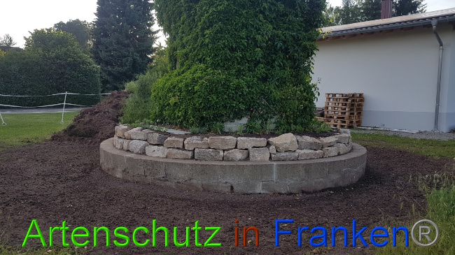 © Artenschutz in Franken® / Schima Bild zum Eintrag (1050249-160)