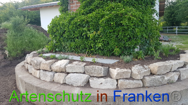 Bild zum Eintrag (1050250-160)