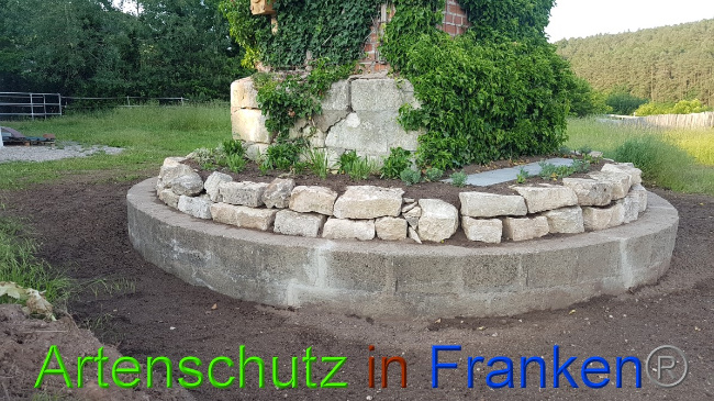 Bild zum Eintrag (1050252-160)
