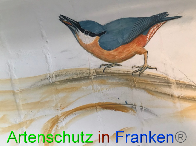 © Artenschutz in Franken® Bild zum Eintrag (1050263-160)