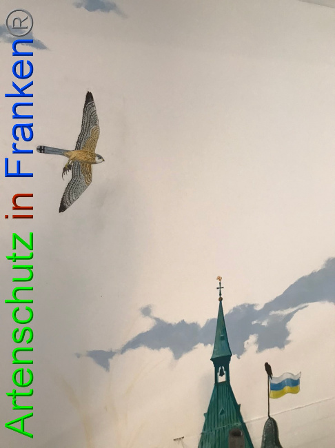 © Artenschutz in Franken® Bild zum Eintrag (1050264-160)