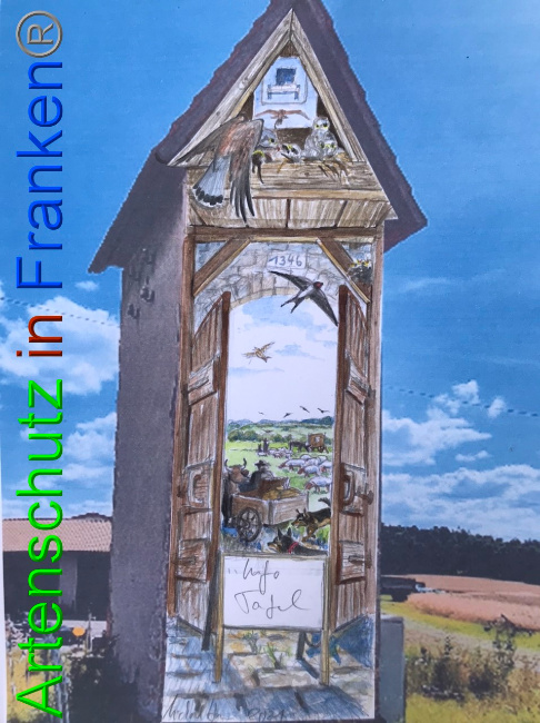 © Artenschutz in Franken® Bild zum Eintrag (1050311-160)
