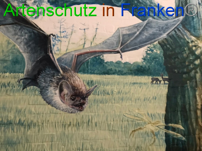 © Artenschutz in Franken® Bild zum Eintrag (1050368-160)