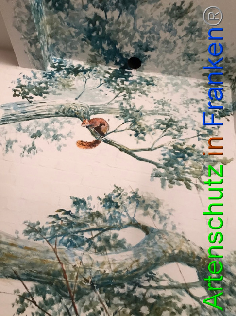 © Artenschutz in Franken® Bild zum Eintrag (1050369-160)