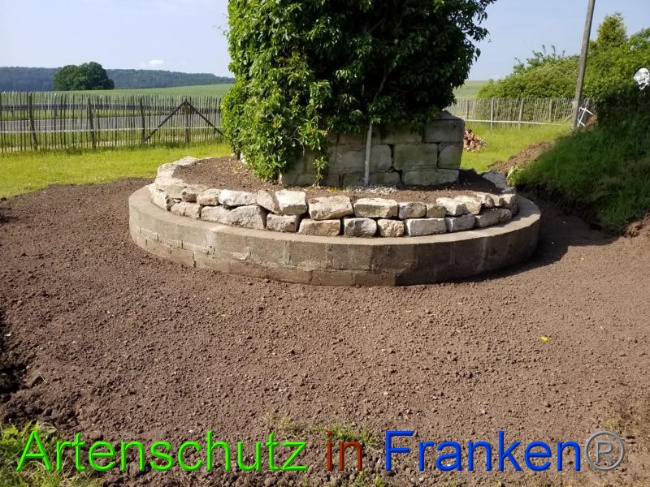 © Artenschutz in Franken® Bild zum Eintrag (1050411-160)